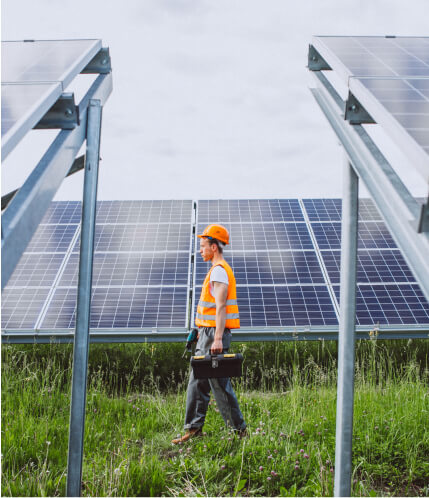 Installation et suivi